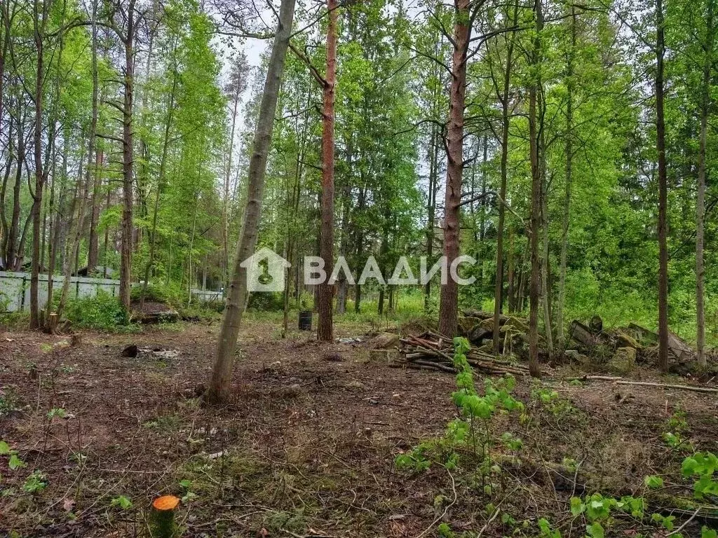 Участок в Ленинградская область, Выборгский район, Рощино пгт ул. ... - Фото 1