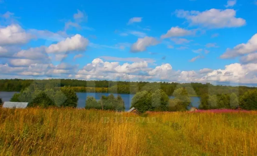 Участки в белозерске