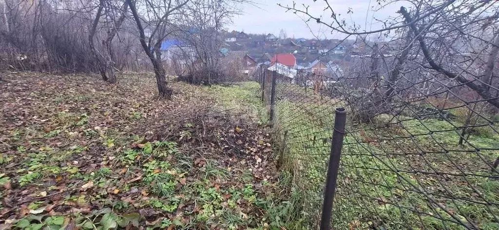 Участок в Алтай, Горно-Алтайск Березовая роща садоводческое ... - Фото 0