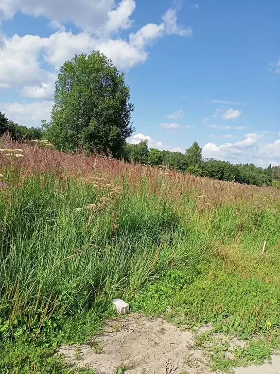 Участок в Московская область, Солнечногорск городской округ, д. ... - Фото 1