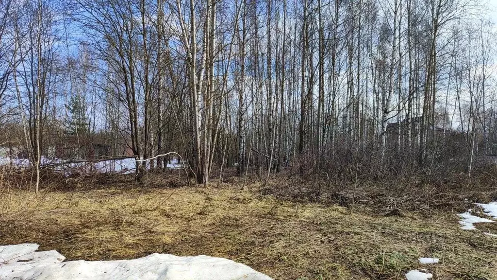 Участок в Московская область, Домодедово городской округ, д. Борисово ... - Фото 2