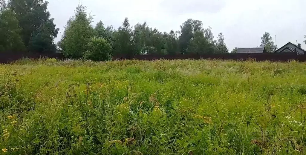 Участок в Московская область, Черноголовка городской округ, д. Беседы ... - Фото 0