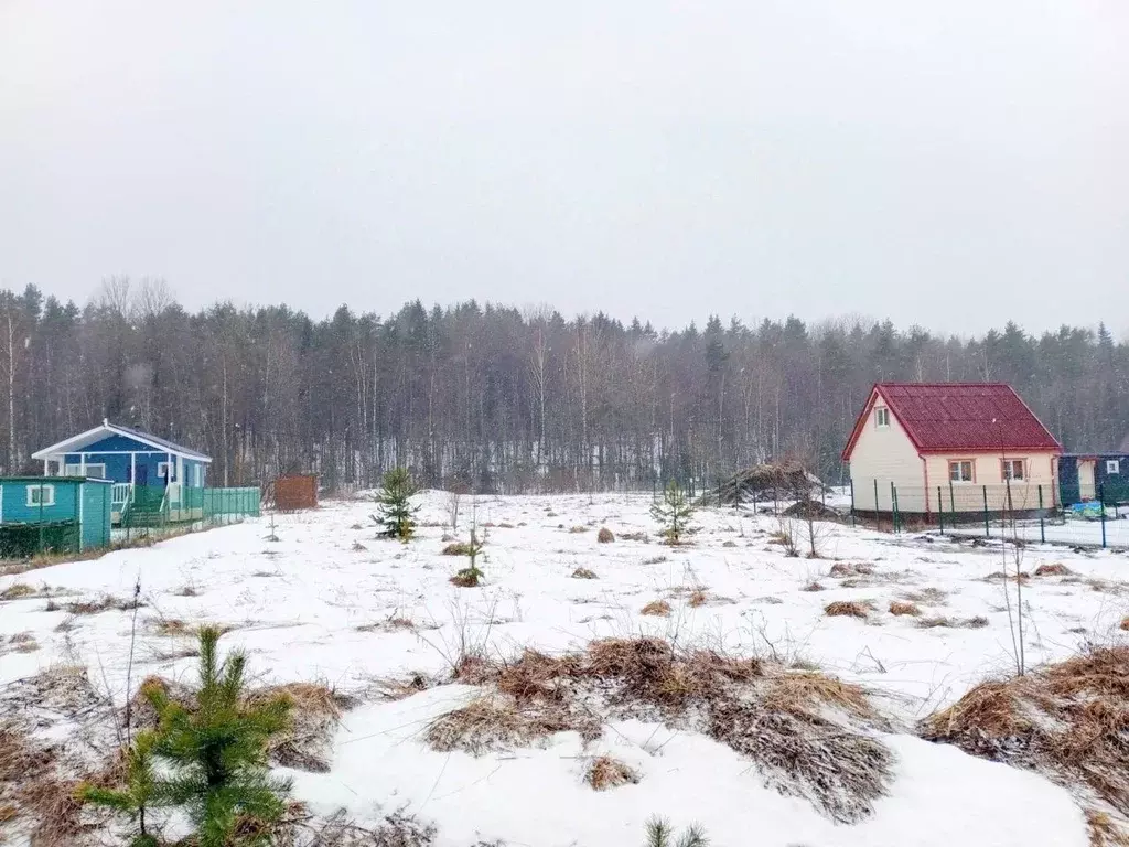 Участок в Ленинградская область, Выборгский район, Рощинское городское ... - Фото 0