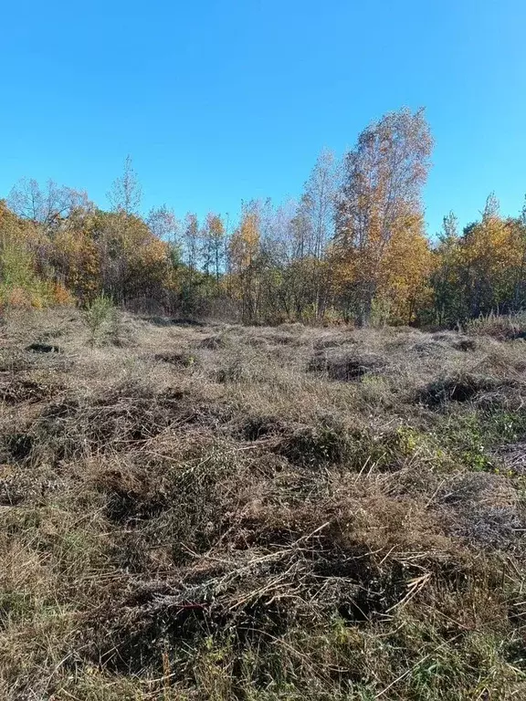 Участок 12,9 сот. (ИЖС) - Фото 0