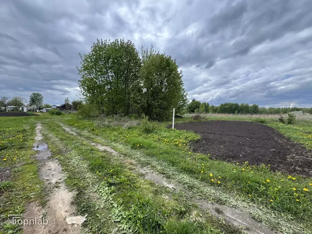 Участок в Нижегородская область, Нижний Новгород с. Чернуха, ул. ... - Фото 1