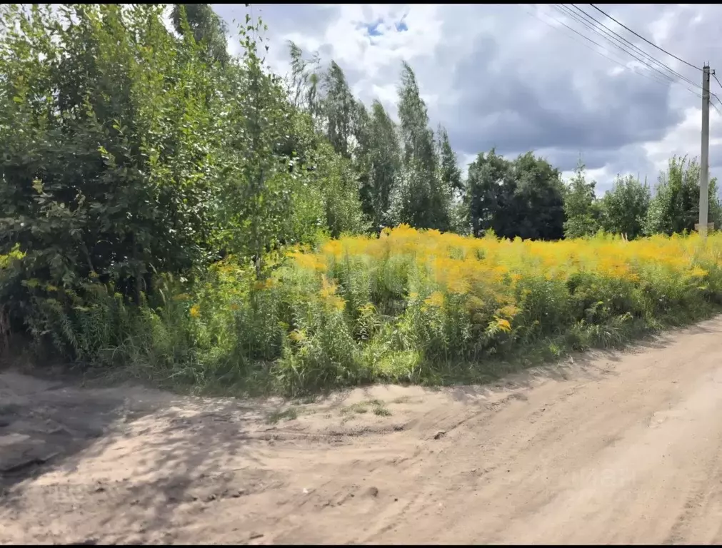 Участок в Брянская область, Брянский район, Снежское с/пос, с. ... - Фото 2