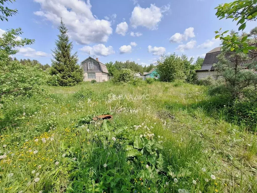 Участок в Ивановская область, Ивановский район, Богородское с/пос, ... - Фото 1