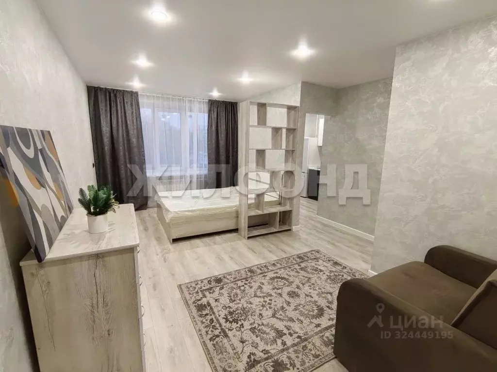 1-к кв. Новосибирская область, Новосибирск ул. Гоголя, 229 (31.1 м) - Фото 1