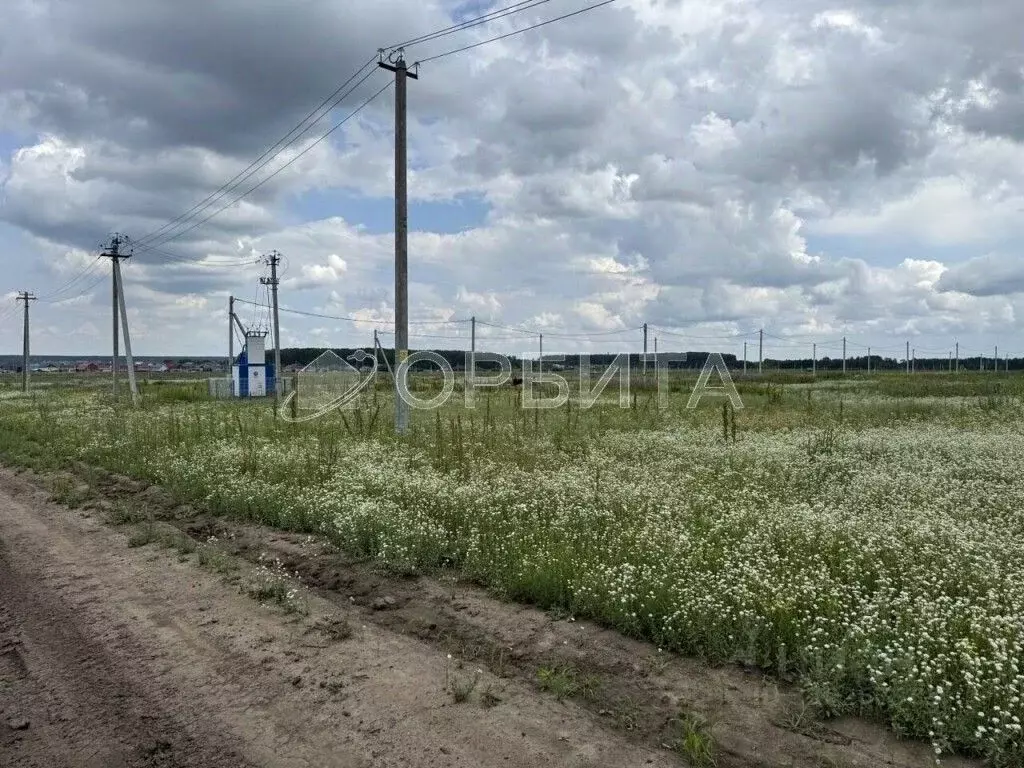 Участок в Тюменская область, Тюменский район, д. Большие Акияры  (8.0 ... - Фото 1