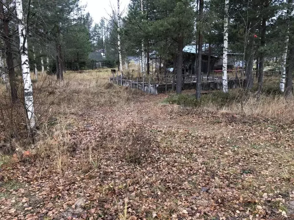 Участок в Коми, Сыктывдинский район, Выльгорт муниципальное ... - Фото 1