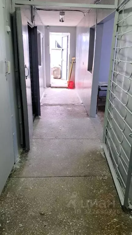 Помещение свободного назначения в Алтайский край, Барнаул ул. Попова, ... - Фото 1