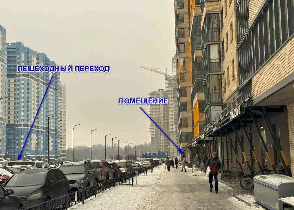 Помещение свободного назначения в Санкт-Петербург пос. Парголово, ... - Фото 0