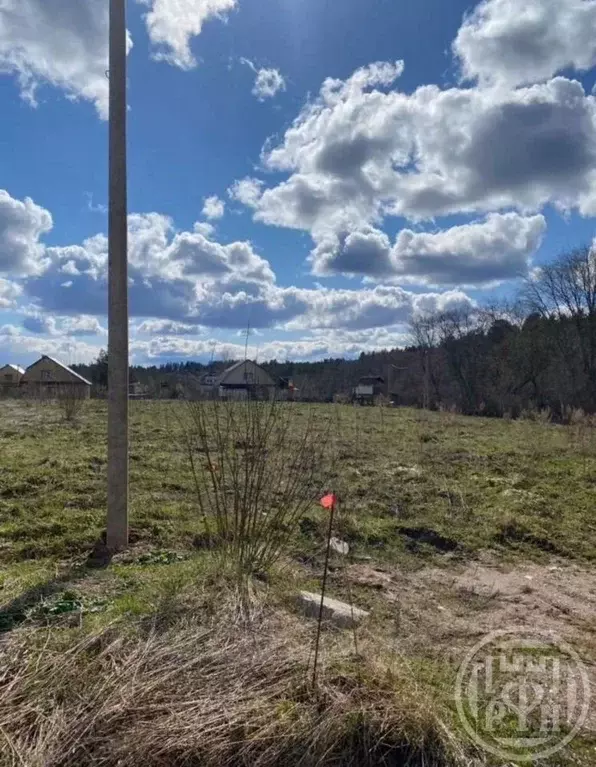 Участок в Ленинградская область, Лужский район, Заклинское с/пос, д. ... - Фото 1