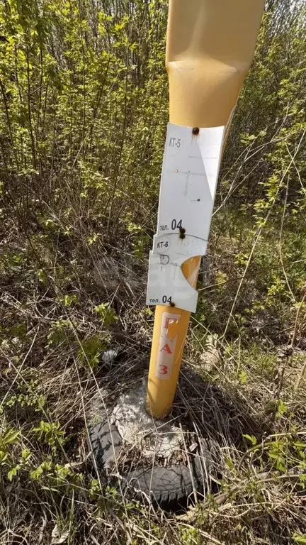Участок в Челябинская область, Челябинск Кузнец-1 СНТ, ул. 2-я, 11Г ... - Фото 1