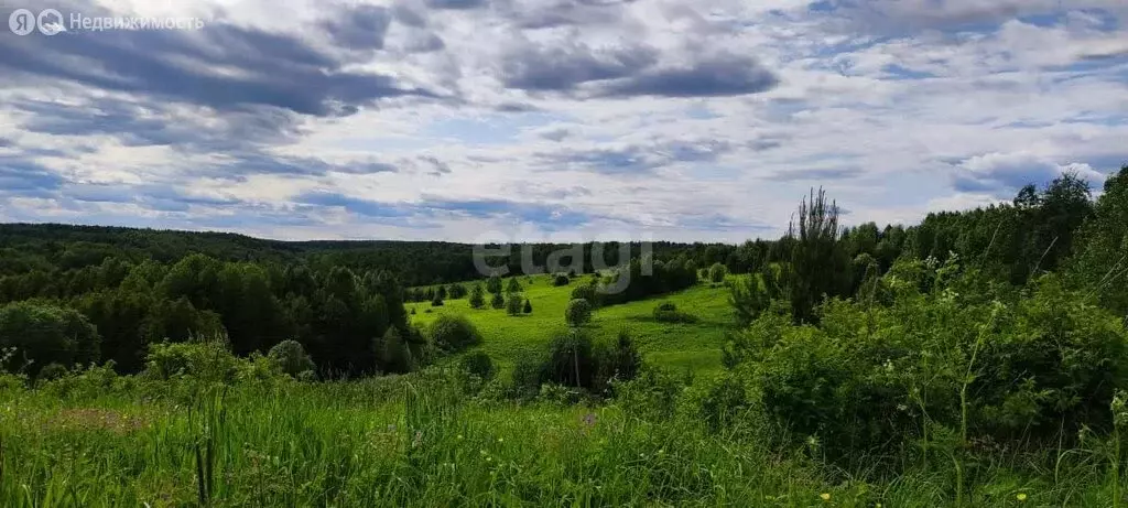 Участок в Республика Коми, муниципальный район Сыктывдинский, ... - Фото 0