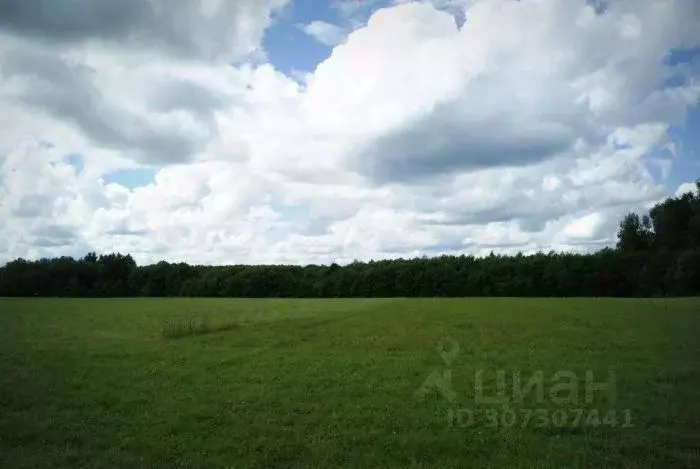 Участок в Тверская область, Зубцовский муниципальный округ, с. ... - Фото 1