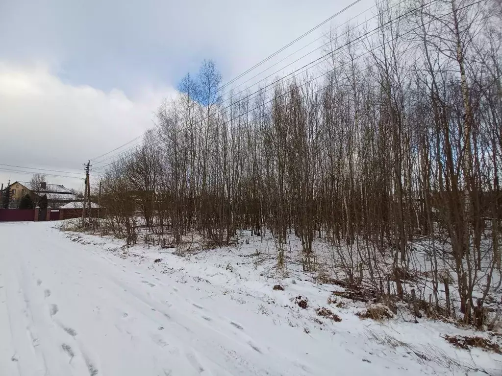 Участок в Московская область, Краснозаводск Сергиево-Посадский район, ... - Фото 1