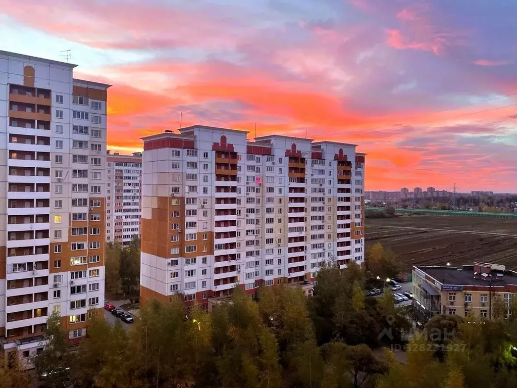 1-к кв. Московская область, Одинцовский городской округ, ВНИИССОК пгт ... - Фото 1