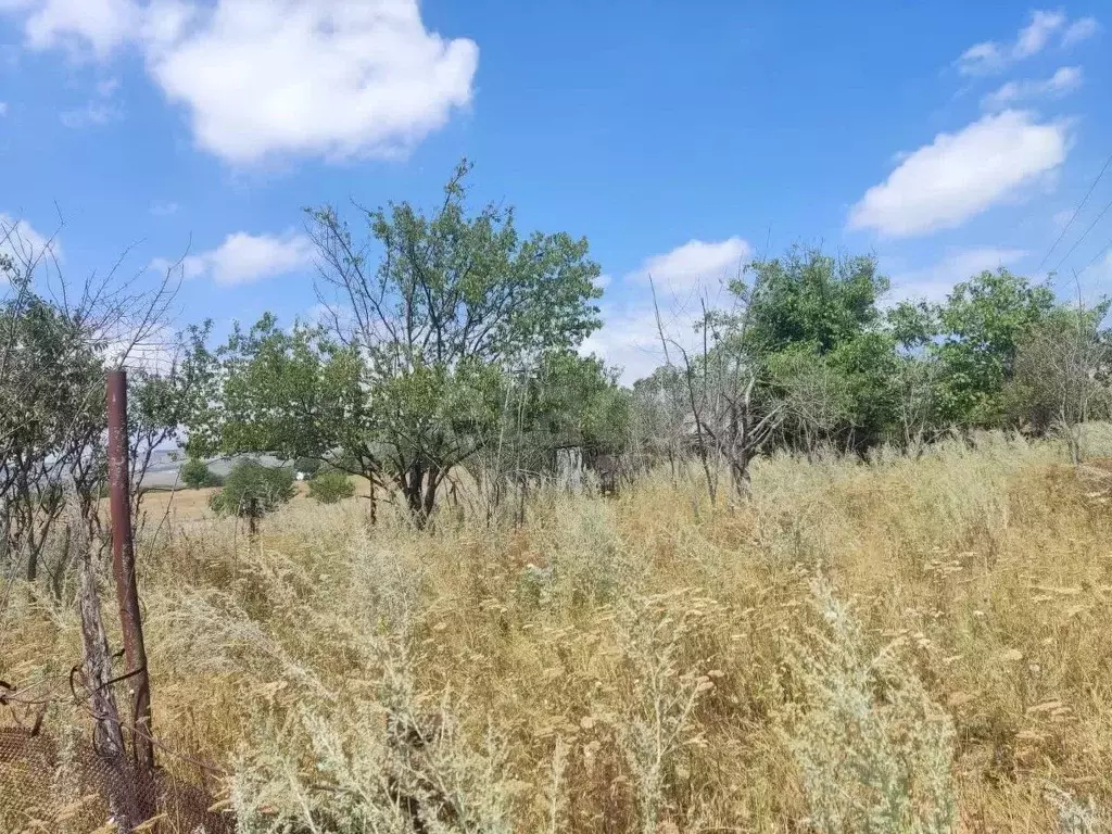 Участок в Ставропольский край, Предгорный муниципальный округ, пос. ... - Фото 1