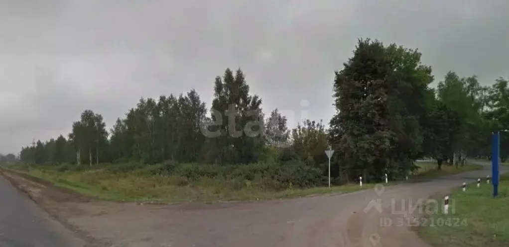 Участок в Брянская область, Карачев  (511.0 сот.) - Фото 1