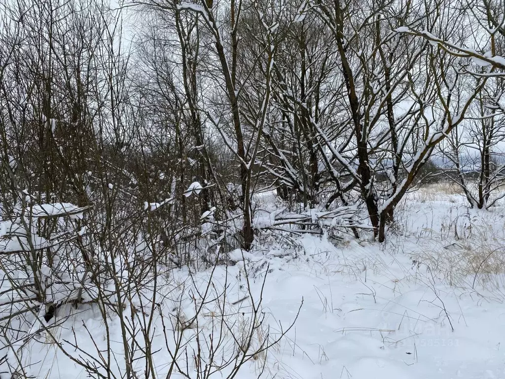 Участок в Московская область, Клин городской округ, д. Еросимово  ... - Фото 0