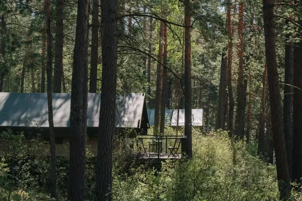 Дом в Алтай, Чемальский район Чемальский тракт, 10 км, 1/1 (22 м) - Фото 2