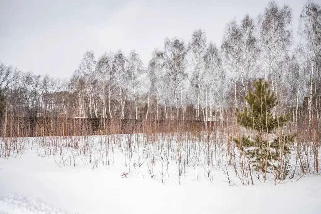 Участок в Новосибирская область, Искитимский район, Мичуринский ... - Фото 1