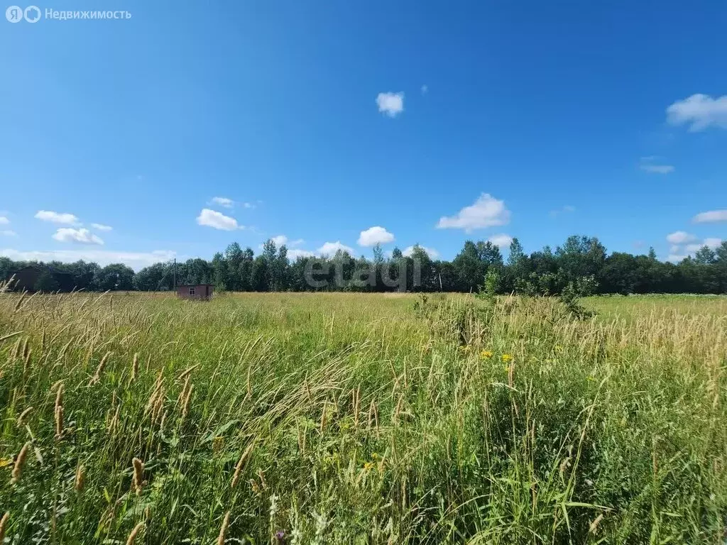 Участок в Глажевское сельское поселение, деревня Наволок (20 м) - Фото 1