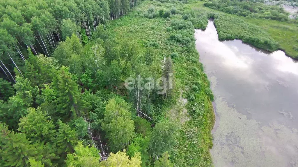 Участок в Тюменская область, Нижнетавдинский район, Сундукуль СНТ  ... - Фото 1