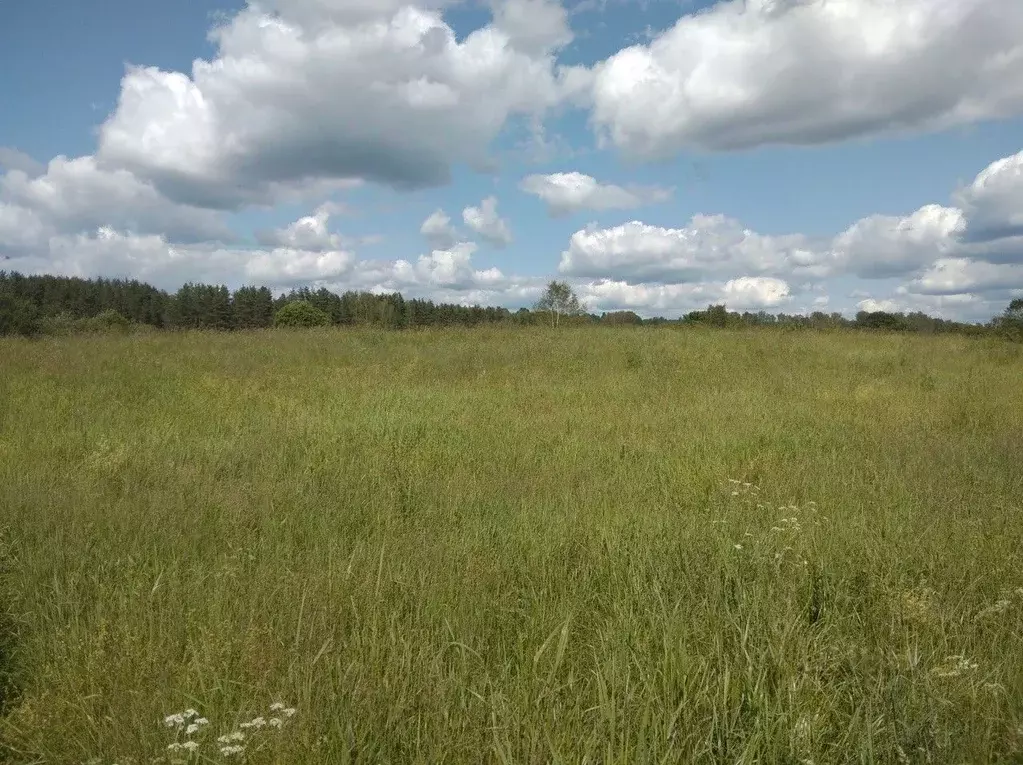Участок в Новгородская область, Валдайский район, Яжелбицкое с/пос, с. ... - Фото 0