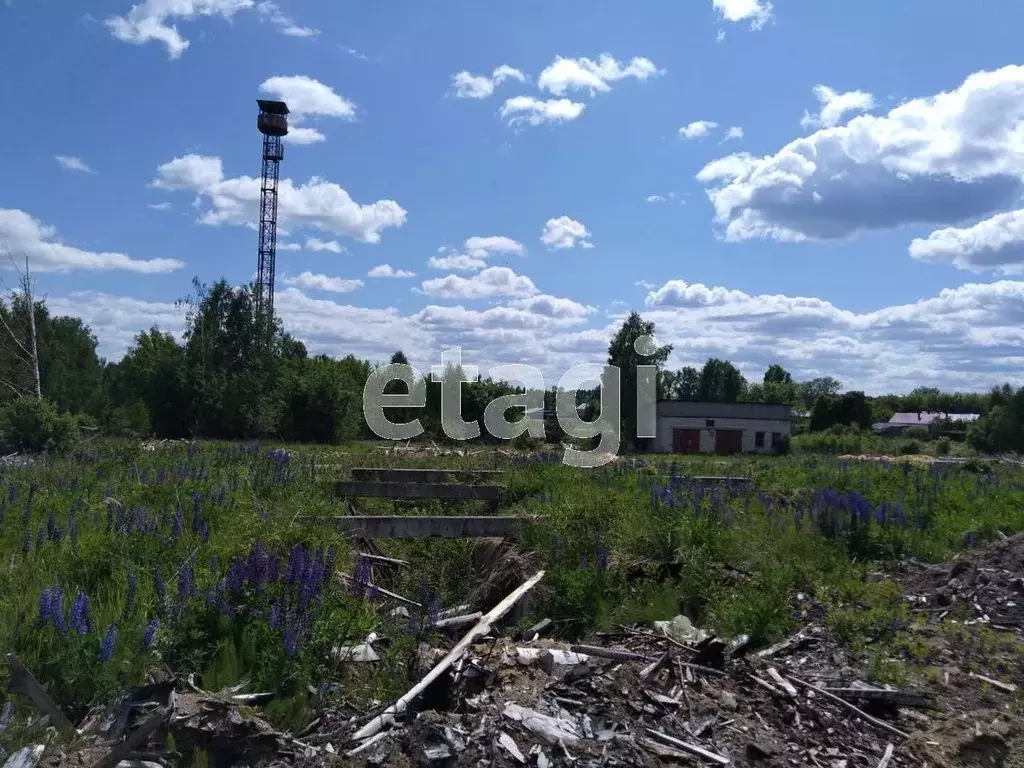 Участок в Владимирская область, Муром Заводская ул. (25.0 сот.) - Фото 1