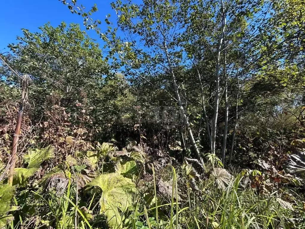 Участок в Сахалинская область, Южно-Сахалинск Жемчужное СНТ,  (8.75 ... - Фото 1
