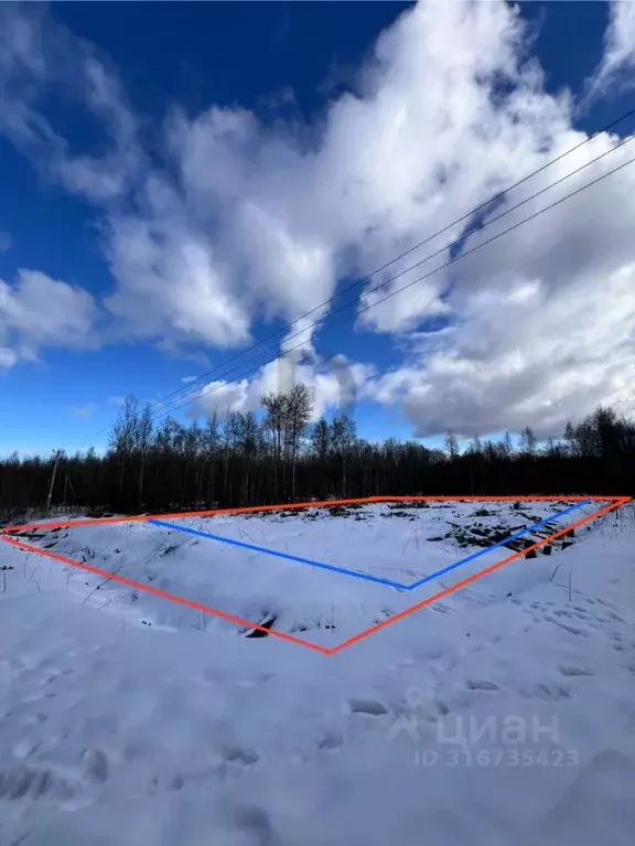 Участок в Ленинградская область, Ломоносовский район, Виллозское ... - Фото 0