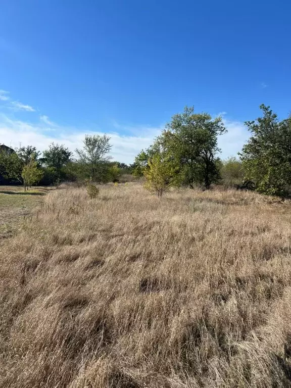 Участок в Ростовская область, Азовский район, Самарское с/пос, с. ... - Фото 1