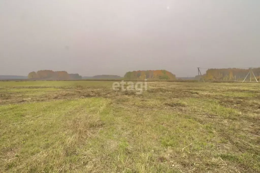 Участок в Тюменская область, Тюменский район, с. Горьковка Школьная ... - Фото 0