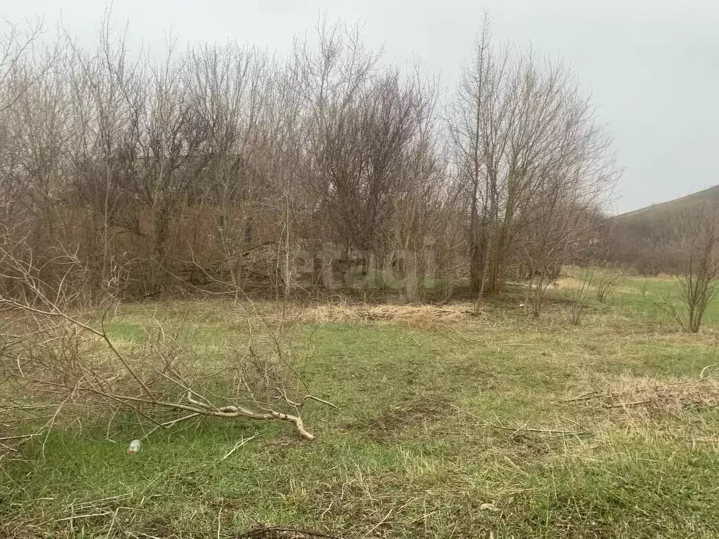 Участок в Ростовская область, Родионово-Несветайское с/пос, Павленков ... - Фото 1