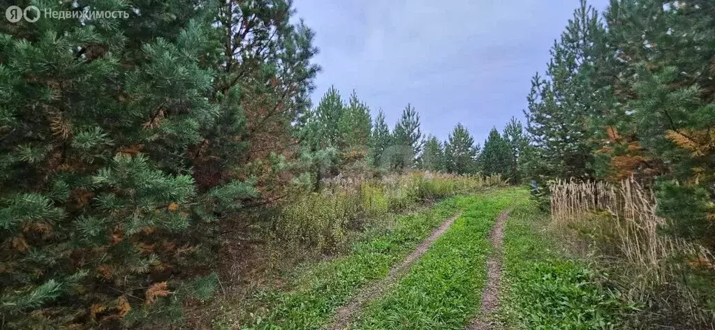 Участок в Завьяловский район, деревня Старые Кены, Севастопольская ... - Фото 2