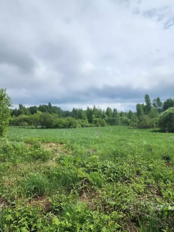 Участок в Ленинградская область, Приозерский район, Плодовское с/пос, ... - Фото 1