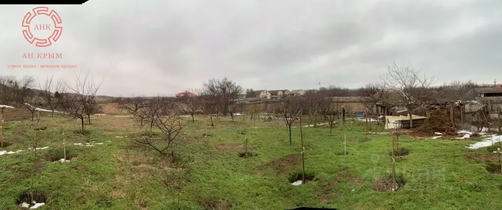 Участок в Крым, Ленинский район, Белинское с/пос, с. Новоотрадное ул. ... - Фото 2