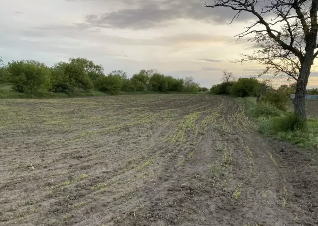 Участок в Ростовская область, Азовский район, Круглянское с/пос, с. ... - Фото 2