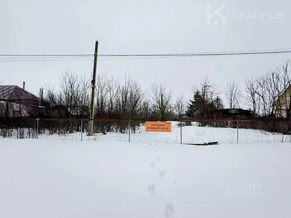 Участок в Воронежская область, Рамонский район, Новоживотинновское ... - Фото 1