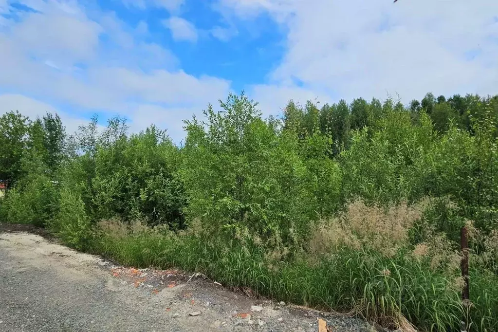 Участок в Ханты-Мансийский АО, Ханты-Мансийск Геофизик-2 СОТ, 124 ... - Фото 2