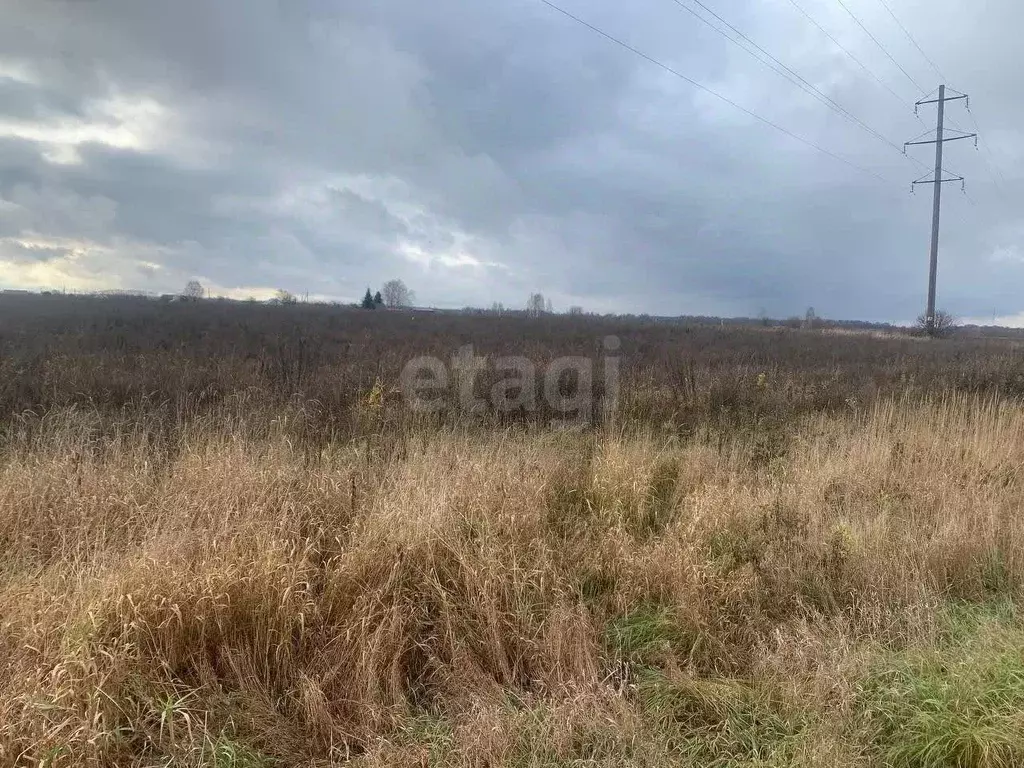 Участок в Костромская область, Костромской район, Шунгенское с/пос, д. ... - Фото 2