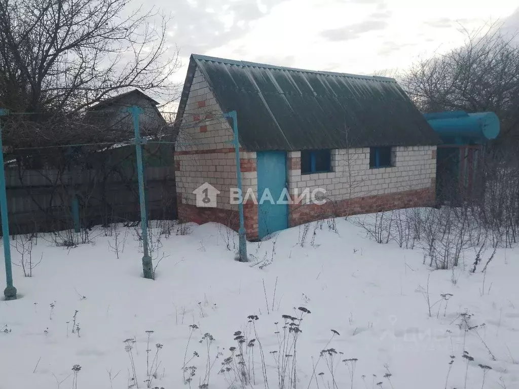 Участок в Белгородская область, Белгород Фазенда садоводческое ... - Фото 1