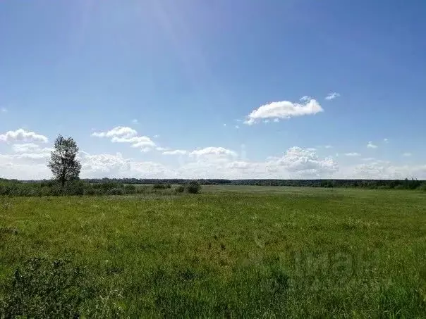 участок в алтайский край, барнаул городской округ, пос. черницк ул. . - Фото 0