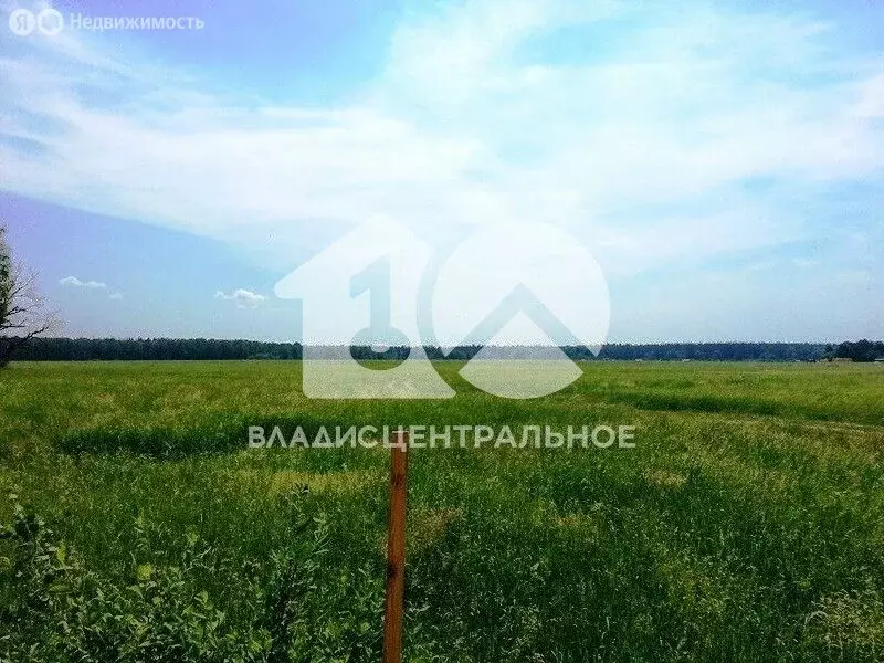 Участок в Новосибирск, Звёздная улица (5.1 м) - Фото 1