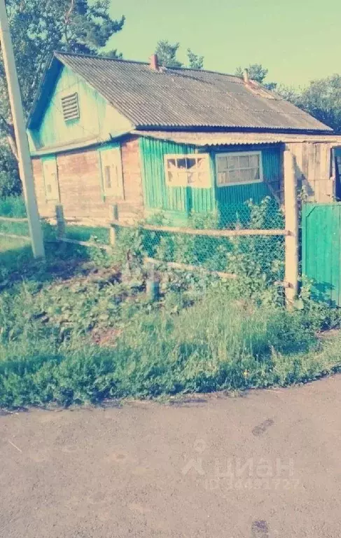 Дом в Тюменская область, Викуловский район, с. Пестово  (73 м) - Фото 0