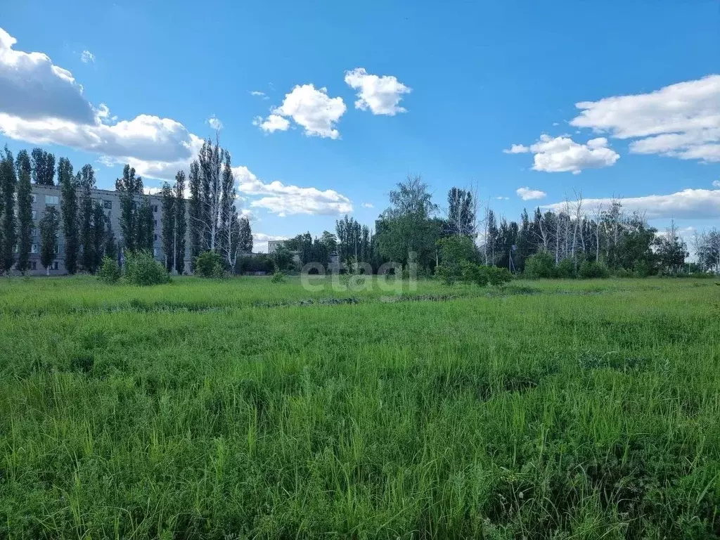 Участок в Саратовская область, Балашовский район, Хоперское ... - Фото 0