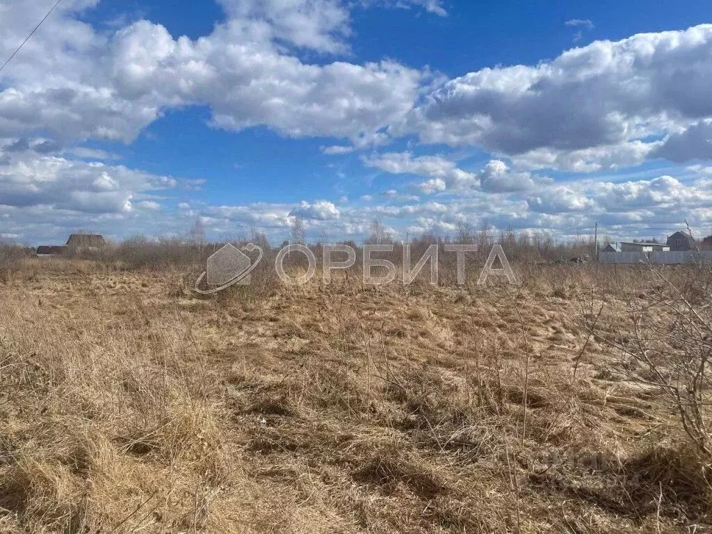 Участок в Тюменская область, Тюмень Царево садовое товарищество, ул. ... - Фото 0