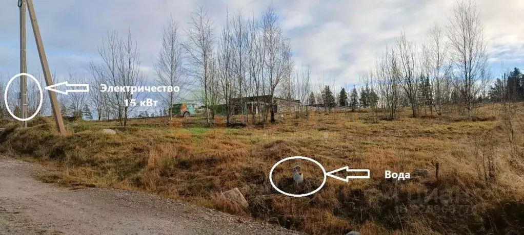 Участок в Ленинградская область, Приозерский район, Сосновское с/пос, ... - Фото 1